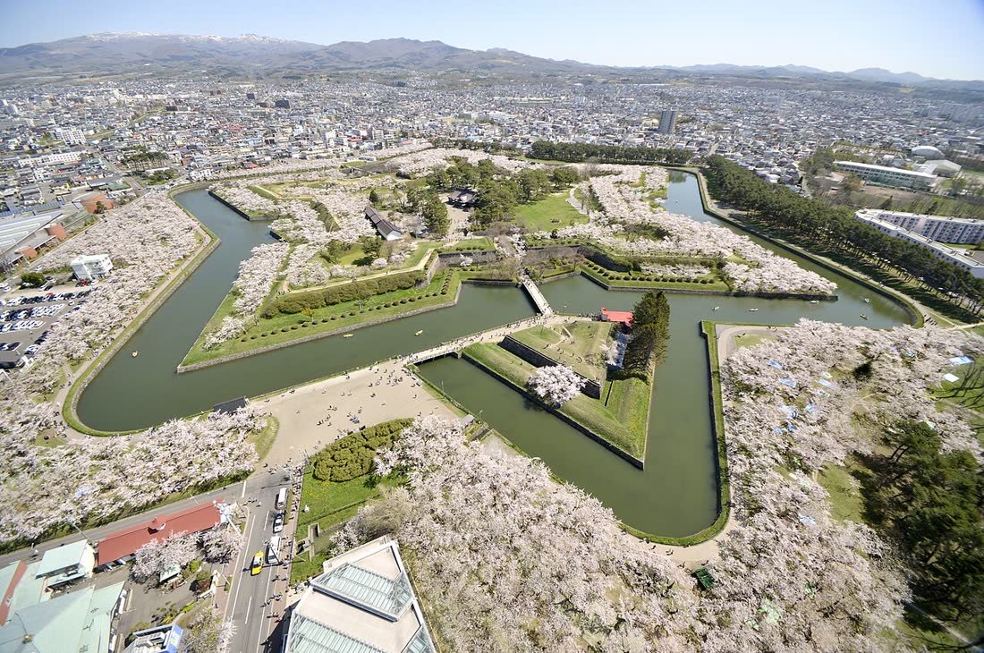 Sakura in Hokkaido